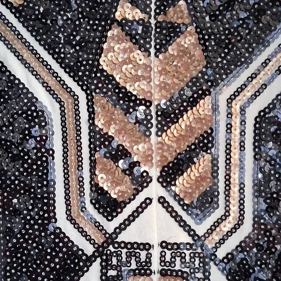 Expresss Sequined Dress